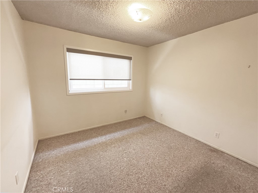 4349 Candleberry
