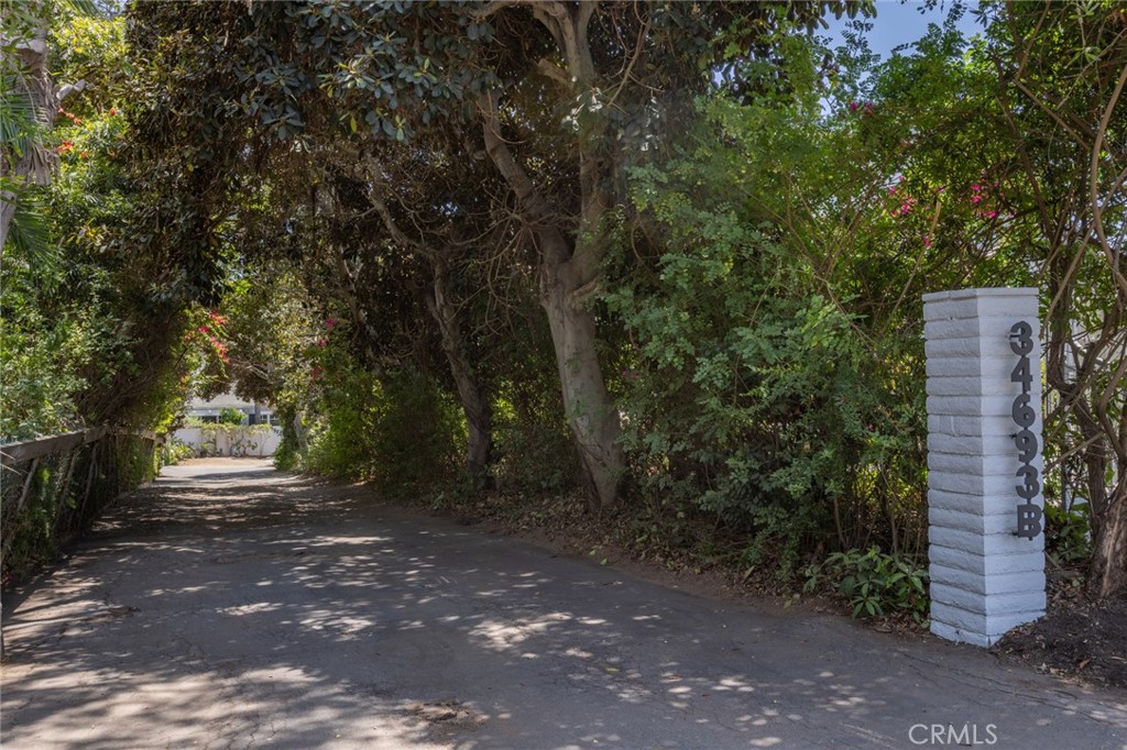 34693 Camino Capistrano B