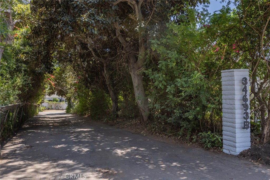 34693 Camino Capistrano B