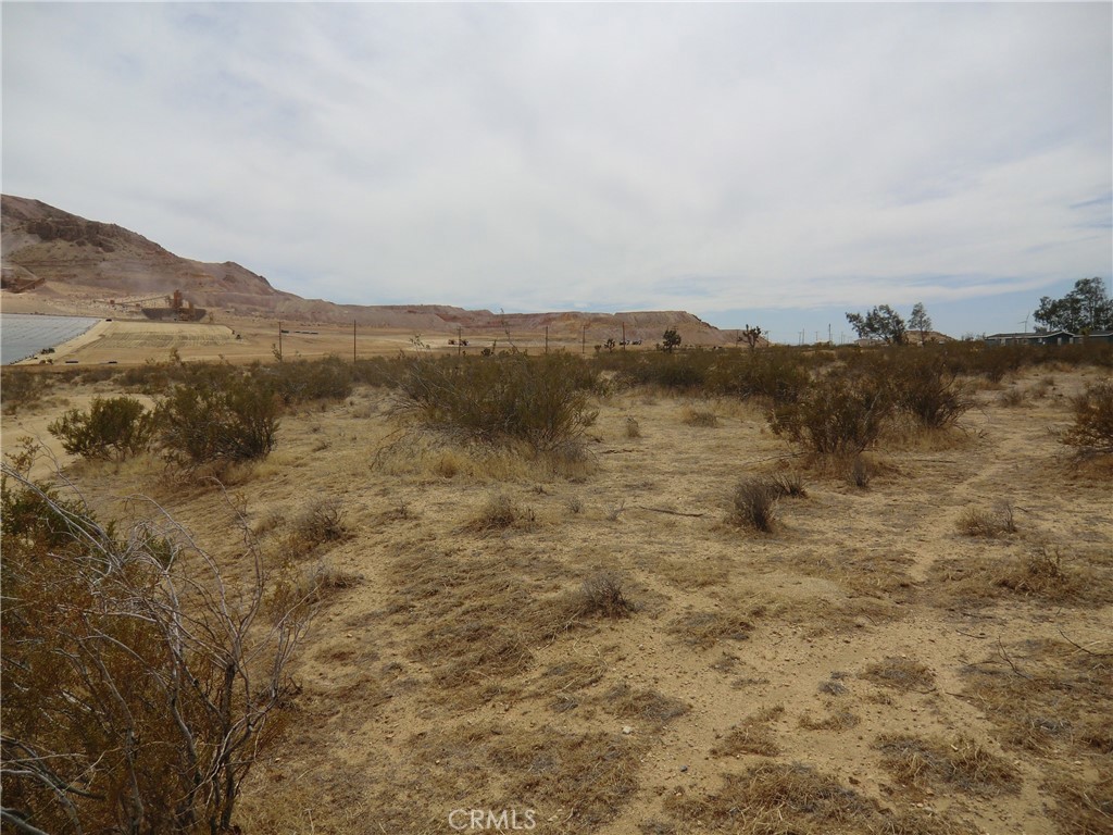 12220 Stevenson Street