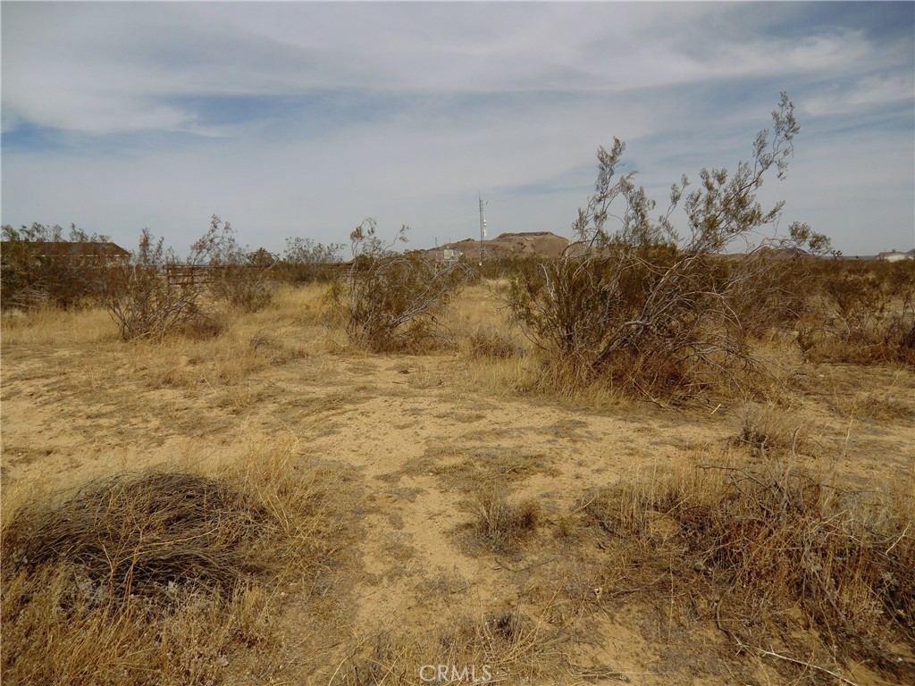 12220 Stevenson Street