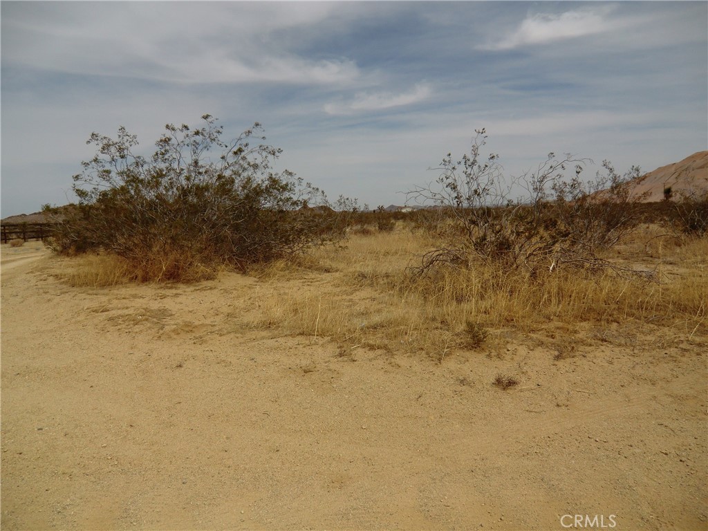 12220 Stevenson Street