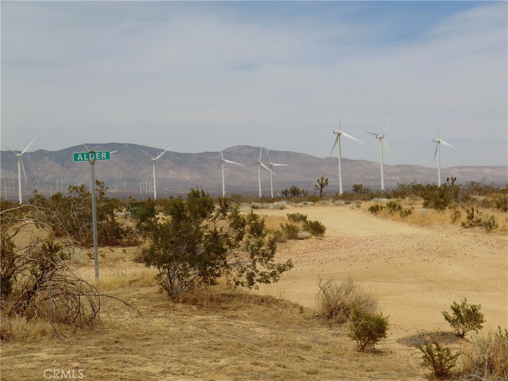 12220 Stevenson Street