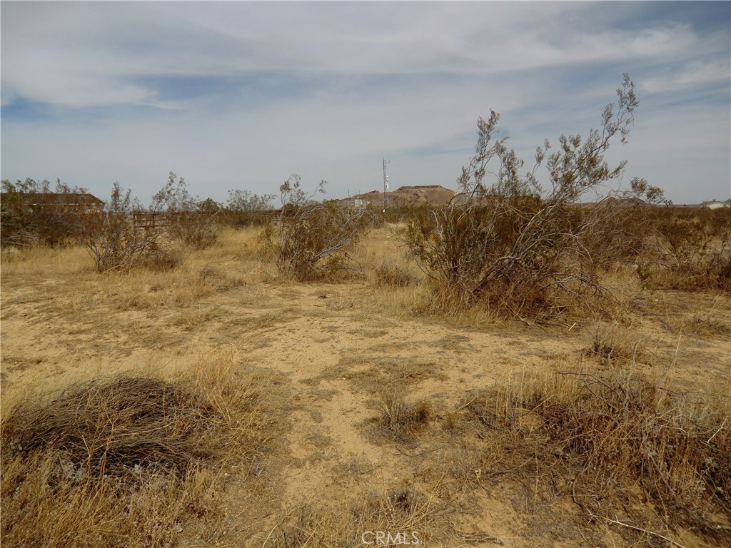 12220 Stevenson Street