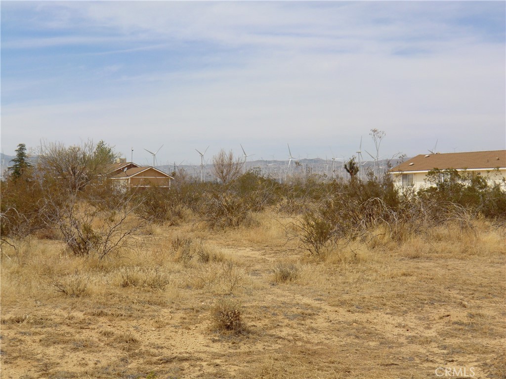 12220 Stevenson Street