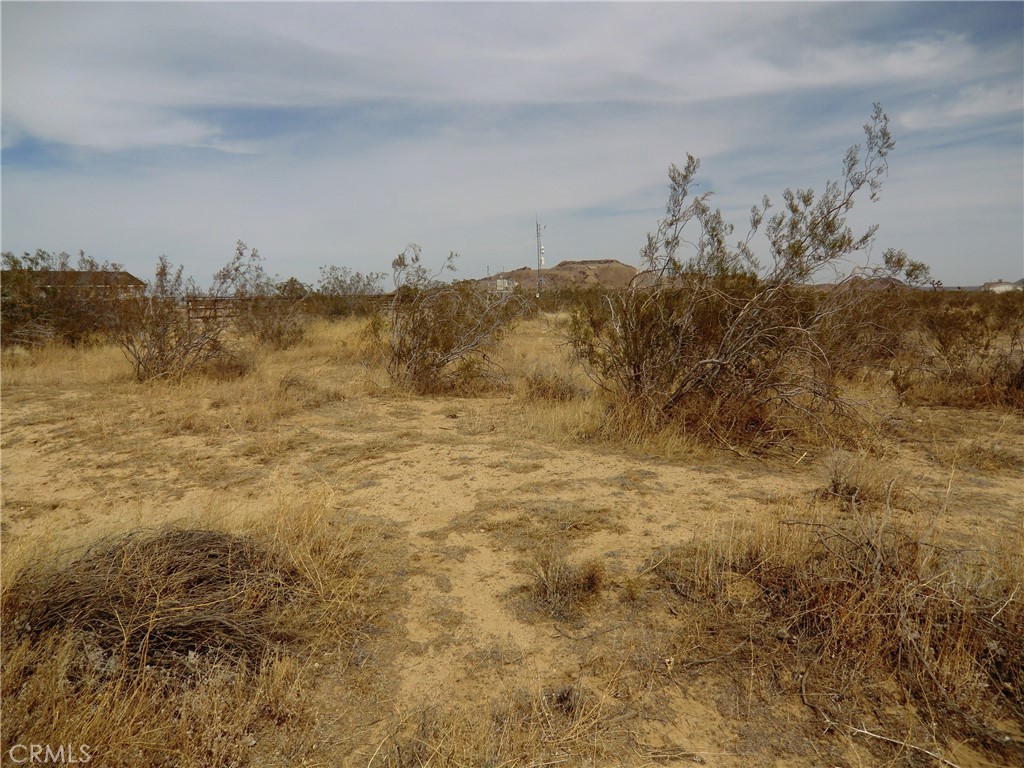 12220 Stevenson Street