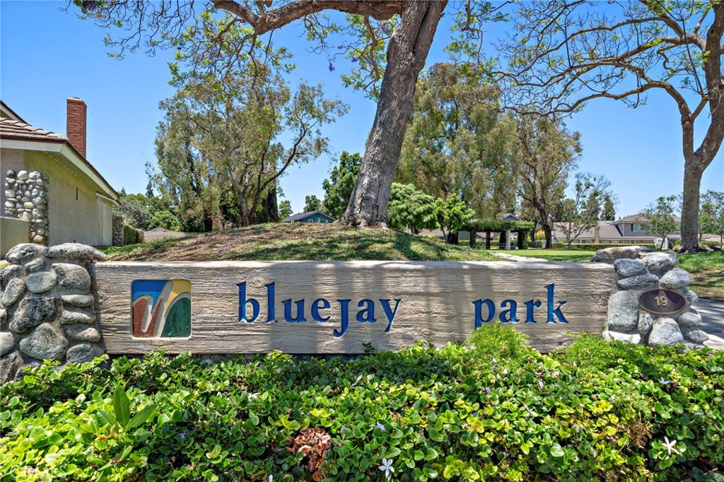 16 Bluejay