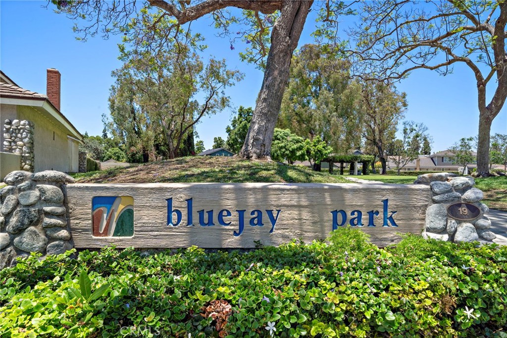 16 Bluejay