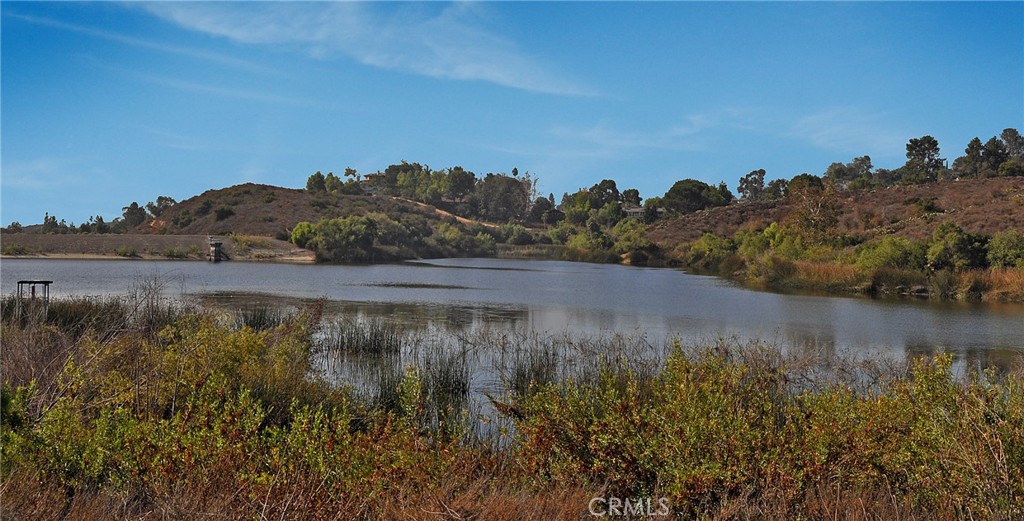 236 S Grisly Canyon Drive M