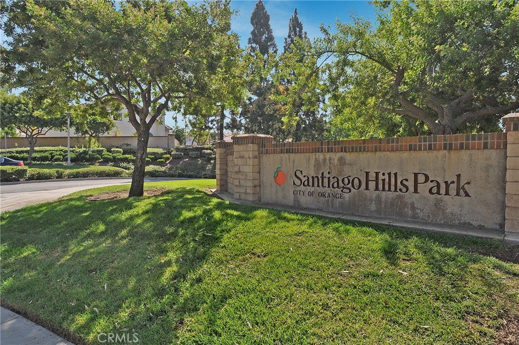 236 S Grisly Canyon Drive M