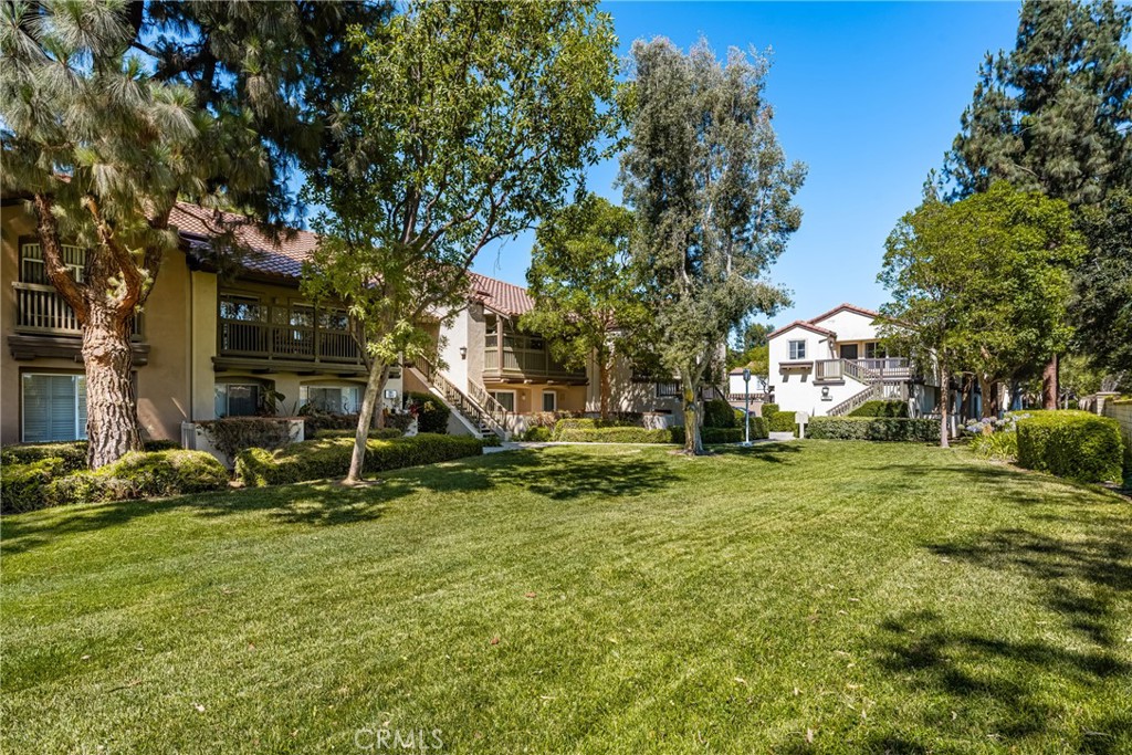 236 S Grisly Canyon Drive M