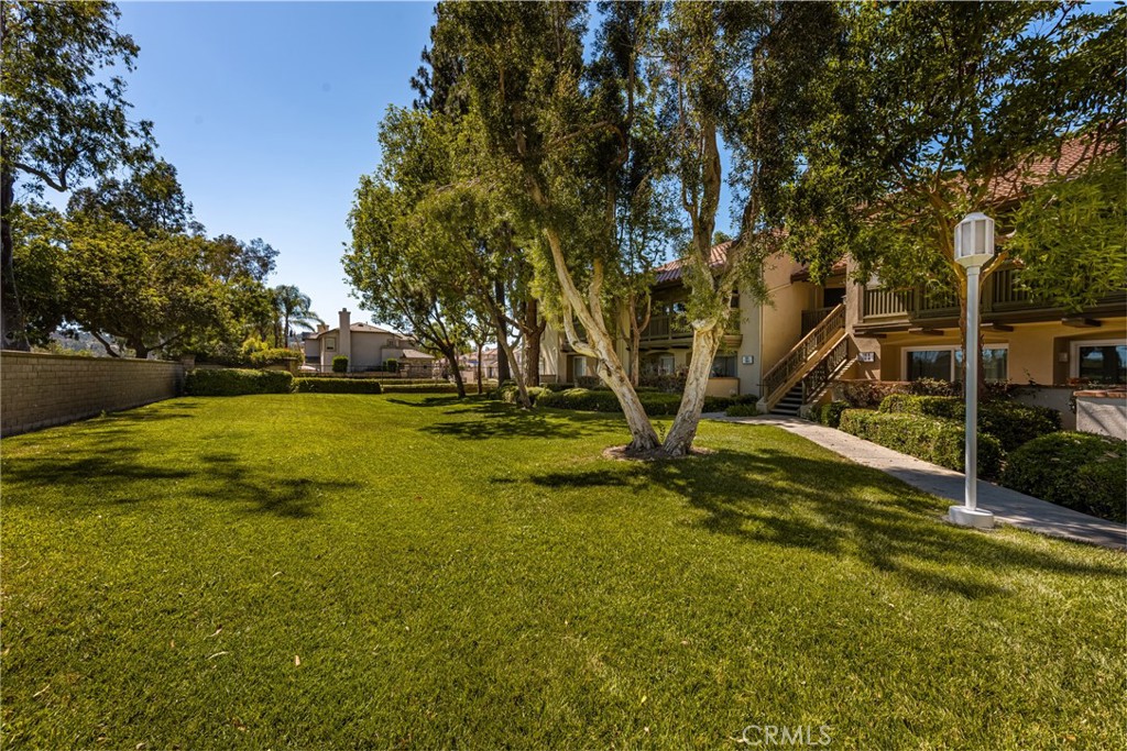 236 S Grisly Canyon Drive M