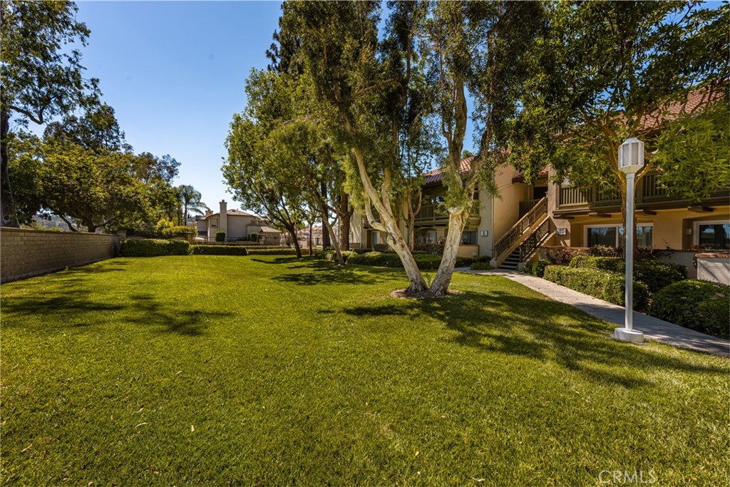 236 S Grisly Canyon Drive M
