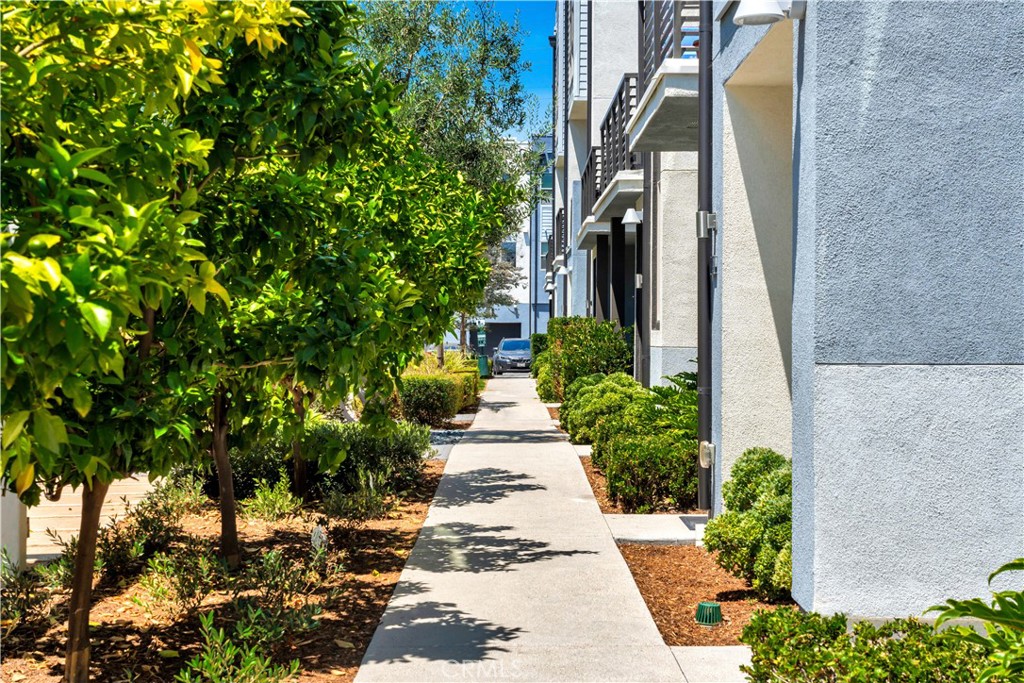 310 Placemark