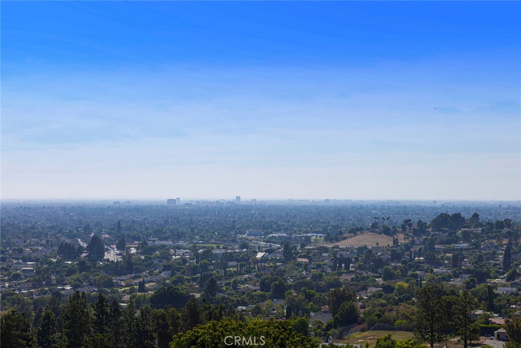 11141 Limetree Drive