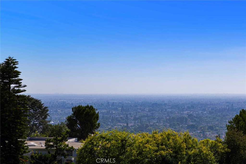 11141 Limetree Drive