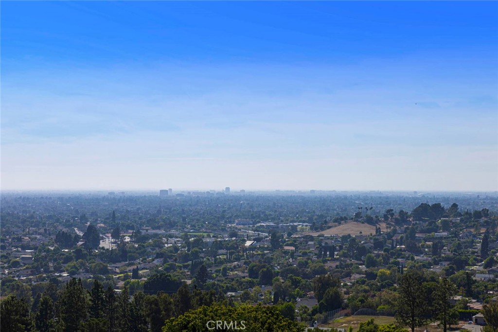 11141 Limetree Drive