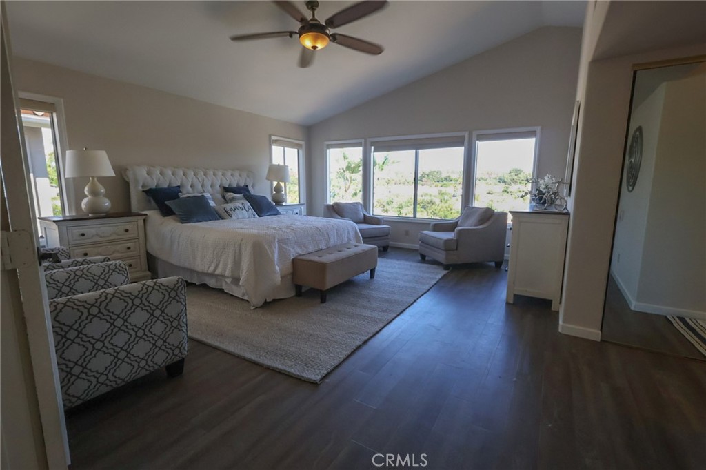 28462 La Plumosa