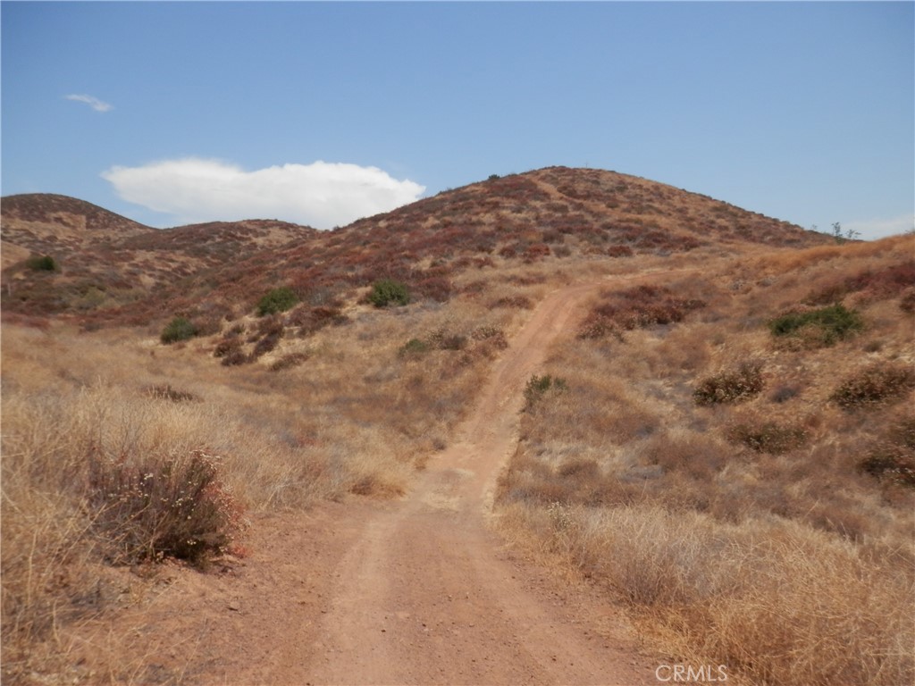 0 C Acacia Street