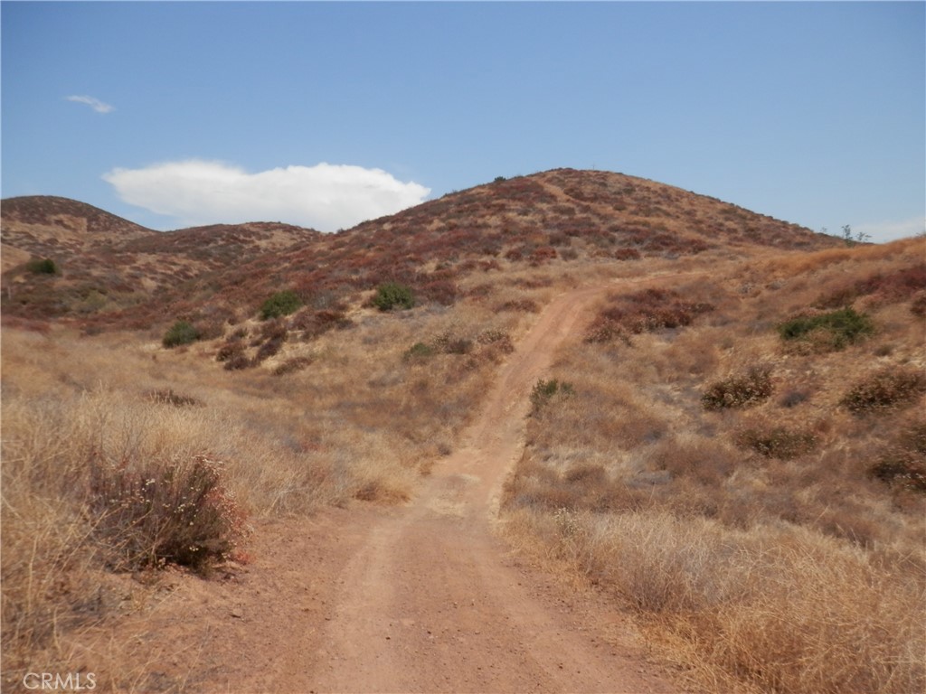 0 C Acacia Street