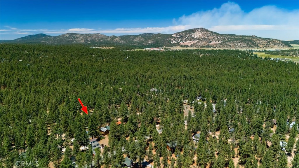 1153 Pine Ridge Lane