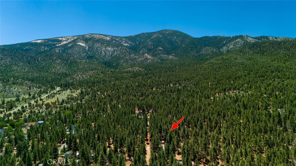 1153 Pine Ridge Lane