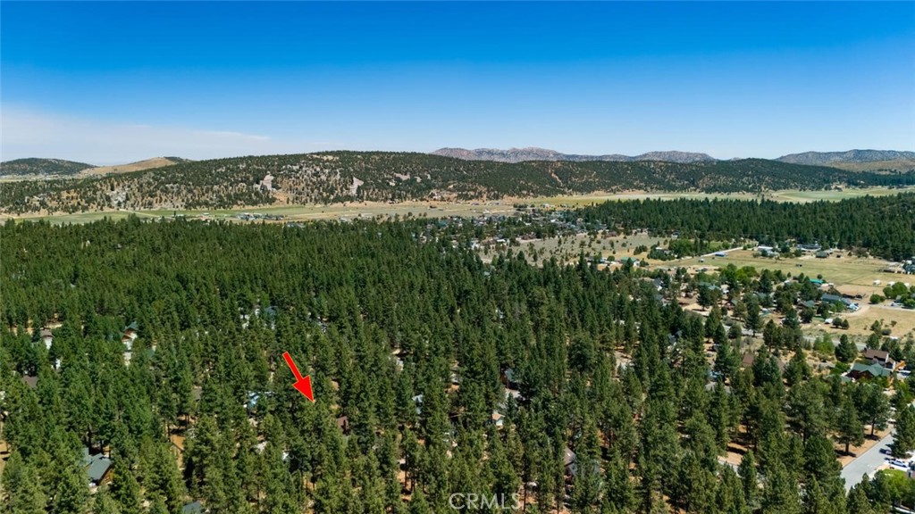 1153 Pine Ridge Lane