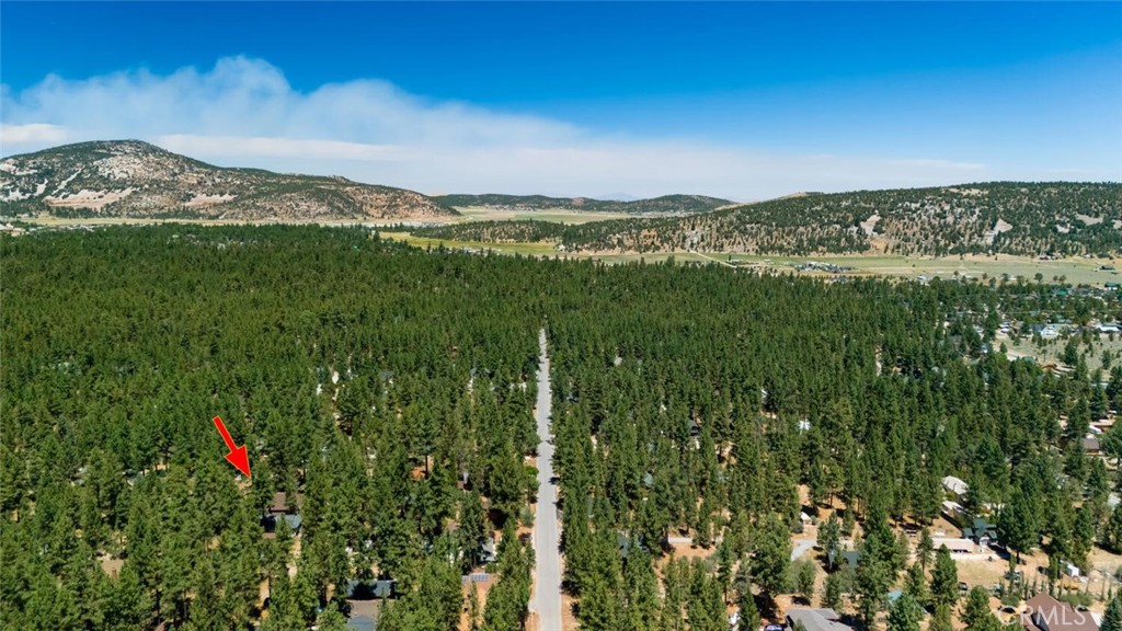 1153 Pine Ridge Lane