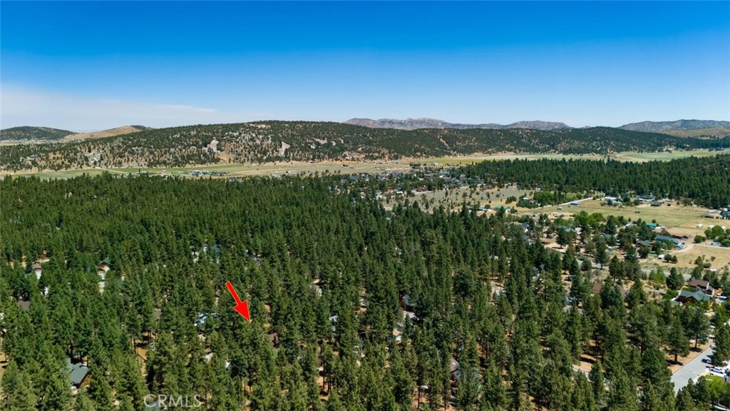 1153 Pine Ridge Lane