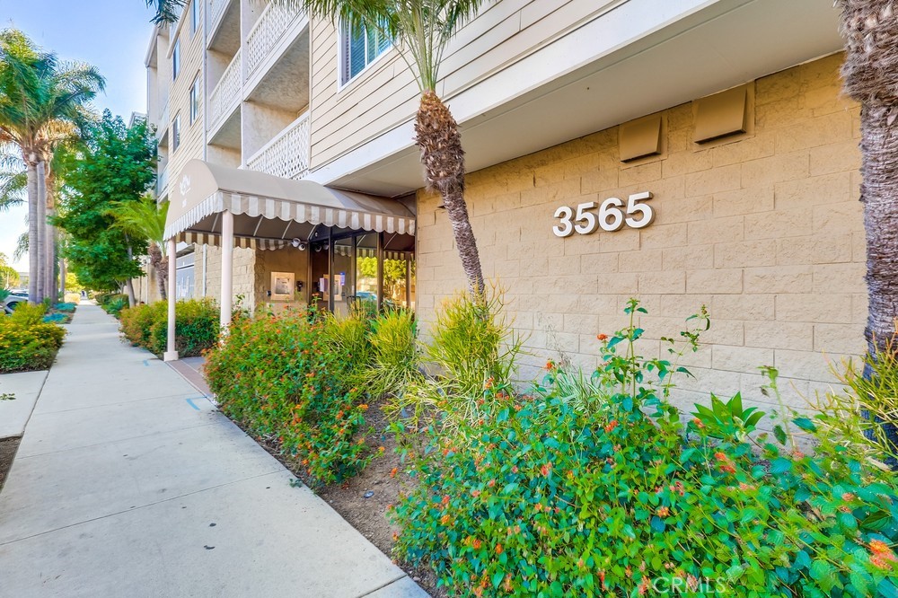 3565 Linden Avenue 255