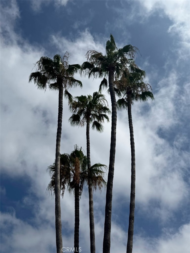 12100 Montecito Road 100