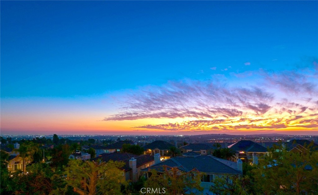 17265 BLUE SPRUCE Lane