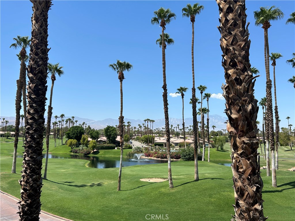 38750 Wisteria Drive