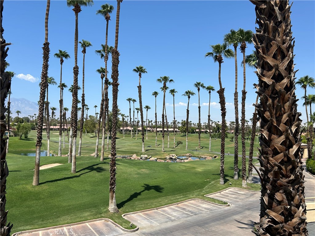 38750 Wisteria Drive