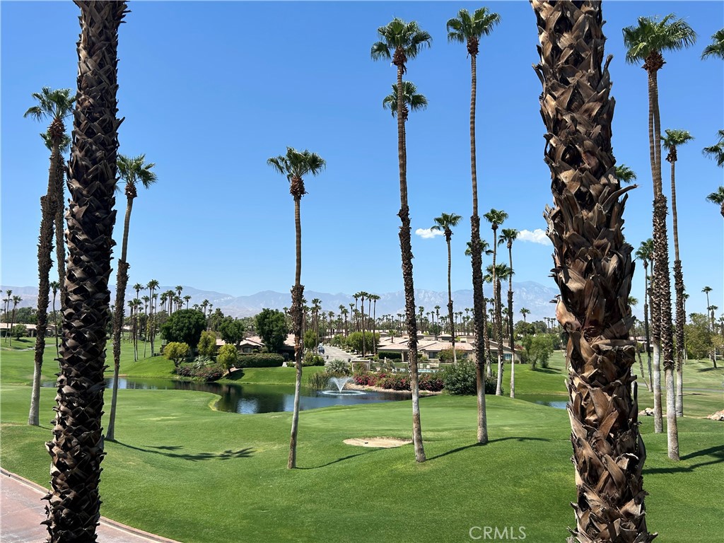 38750 Wisteria Drive