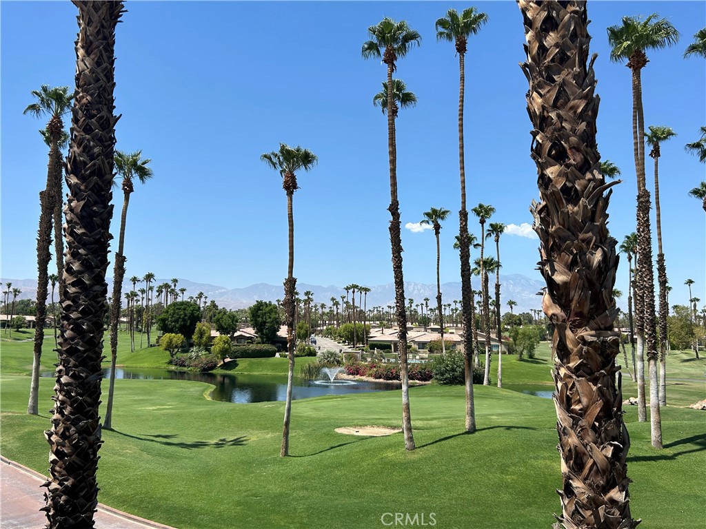 38750 Wisteria Drive