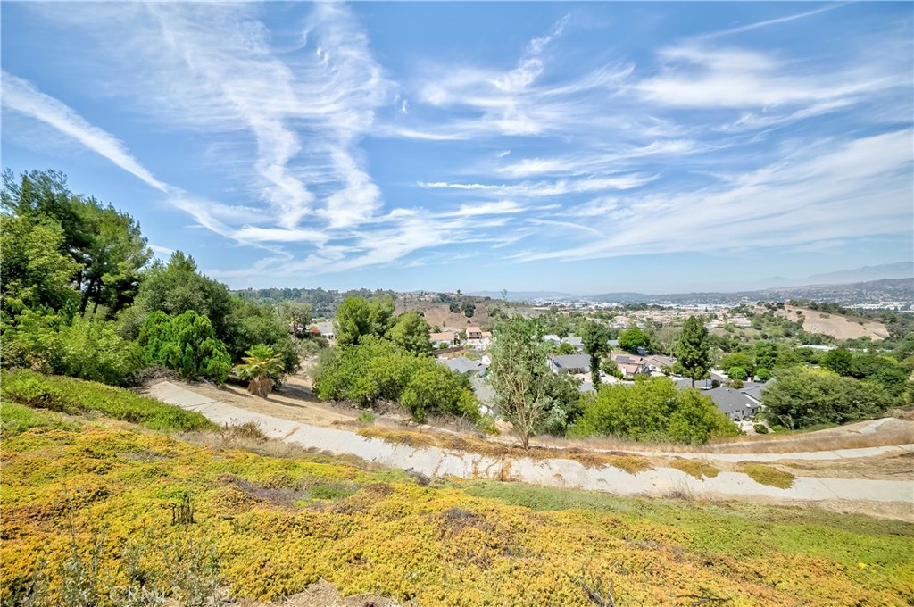 1789 Cliffbranch Drive