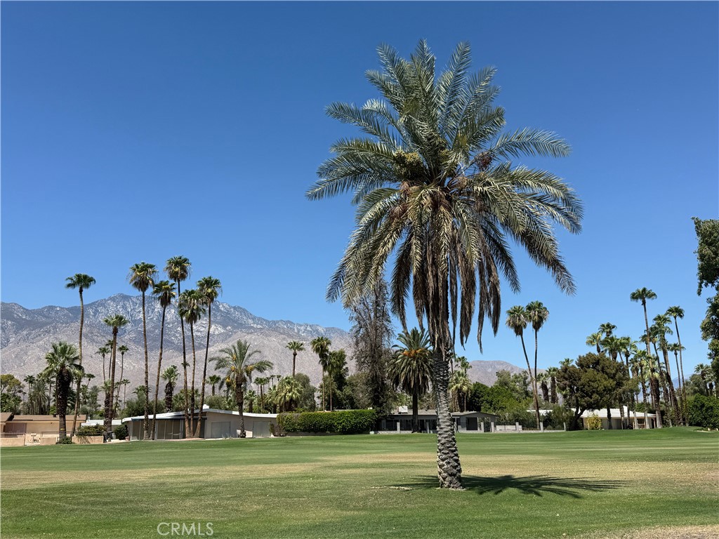 2217 S Bobolink Lane