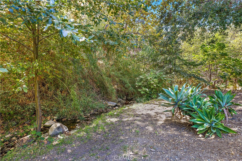 29120 Shadybrook Drive