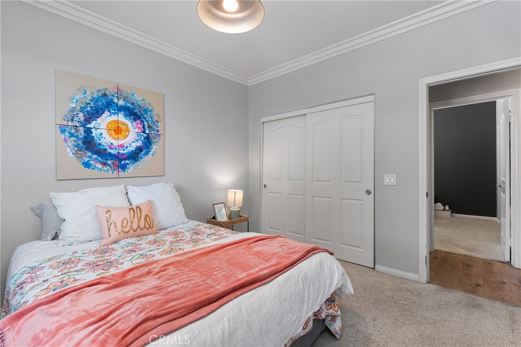 6704 Bull Thistle Court