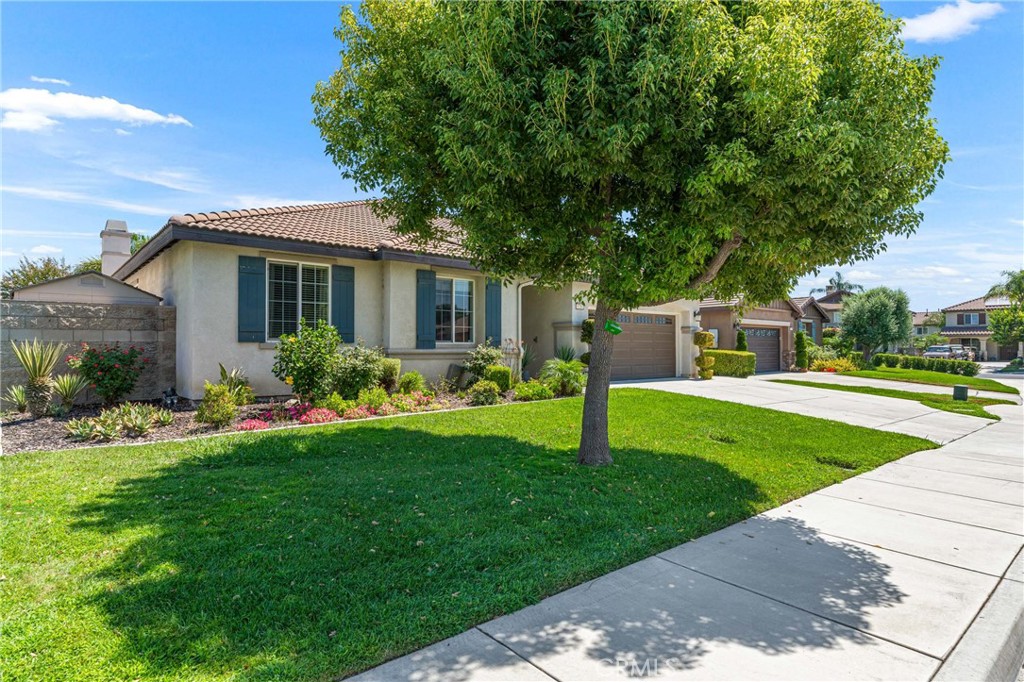 6704 Bull Thistle Court