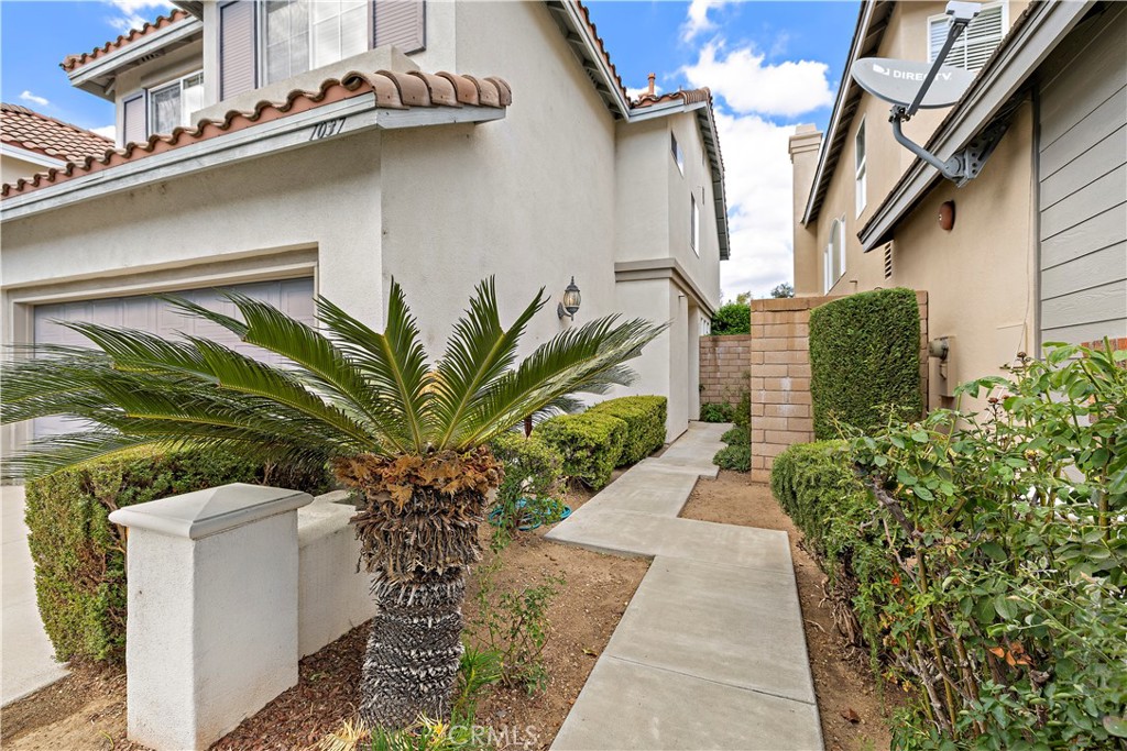 1037 Davis Way