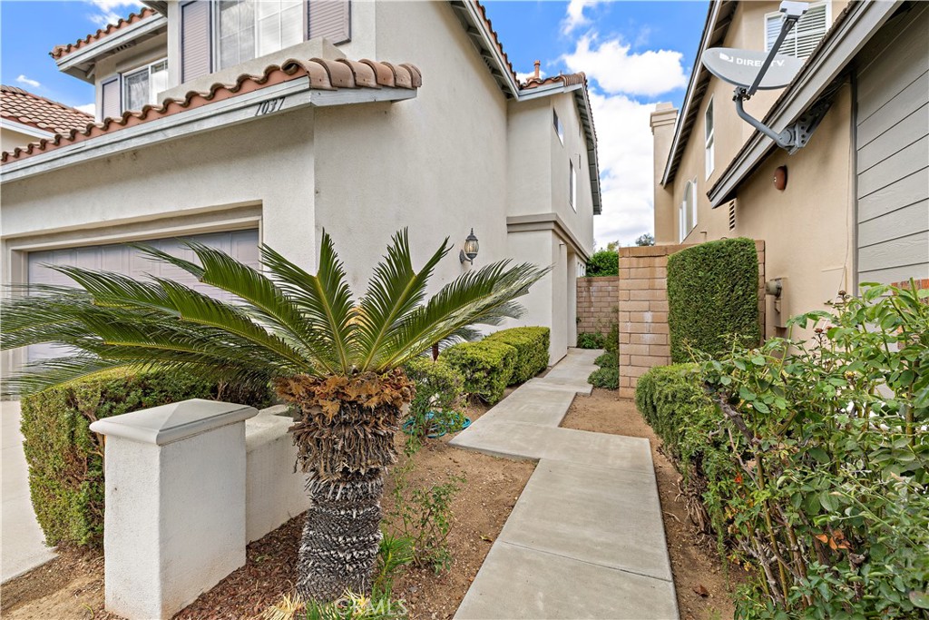 1037 Davis Way