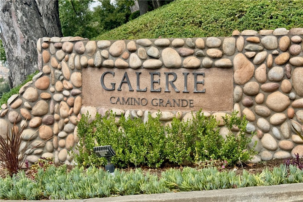 6595 E Paseo Murillo