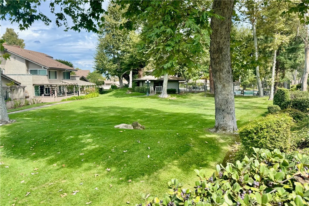 6595 E Paseo Murillo