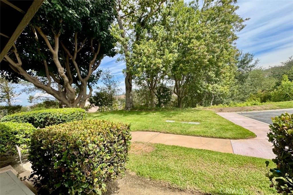 6595 E Paseo Murillo