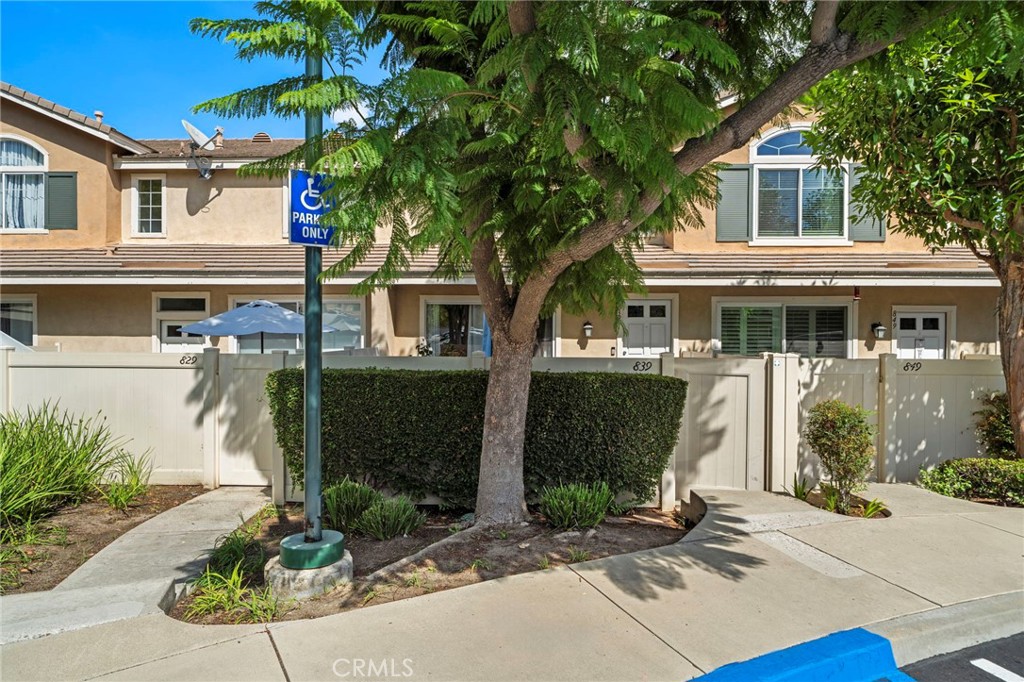 839 South Yellowstone way