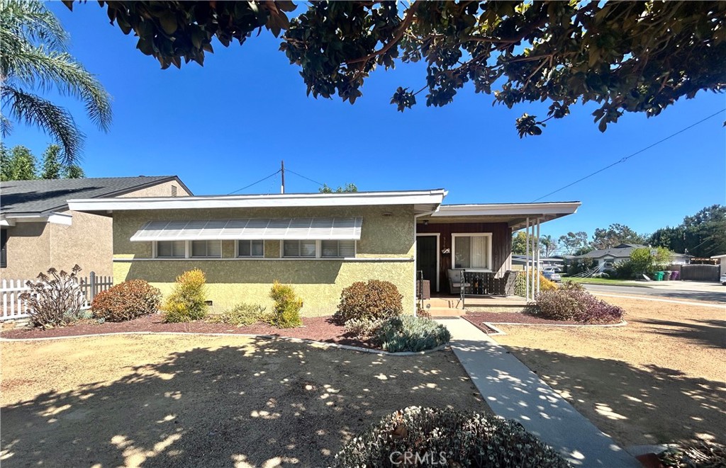 3162 Woodruff