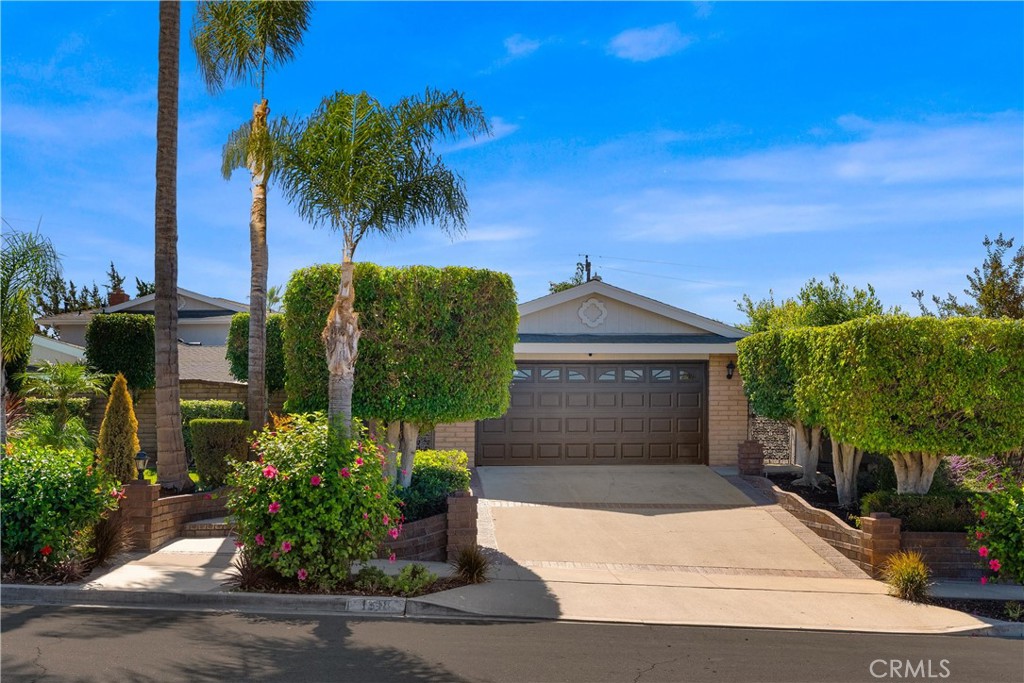 1318 Alta Mesa Drive