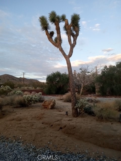 60194 60194 La Mirada